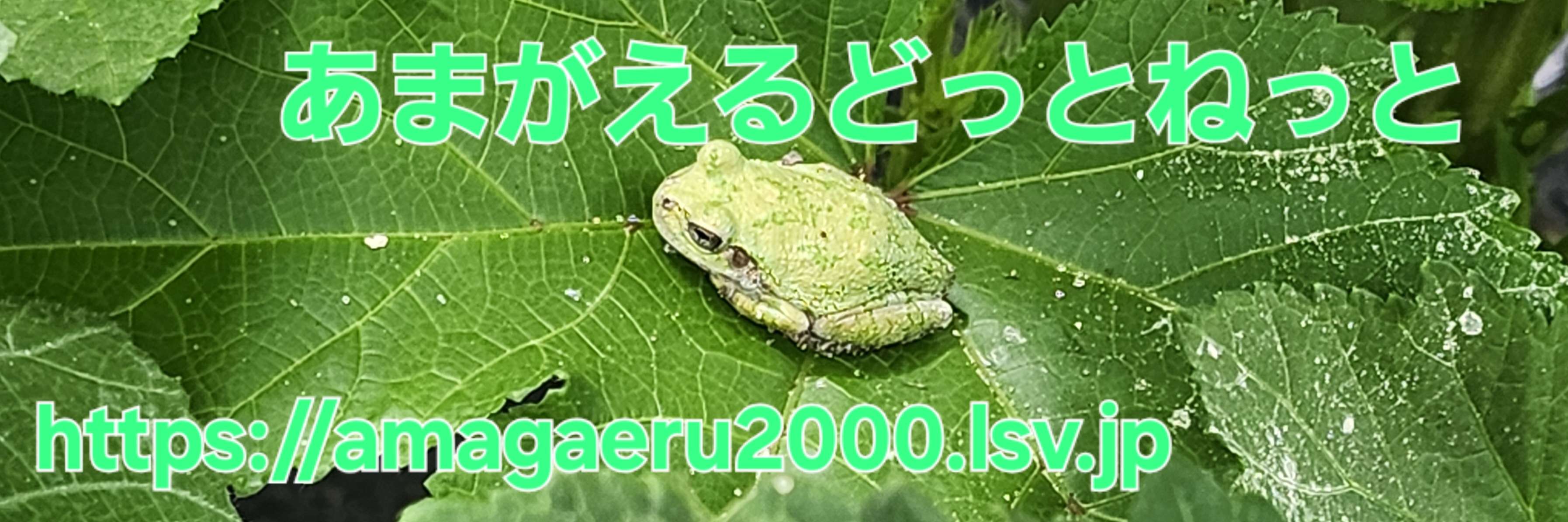 アマガエル.NET